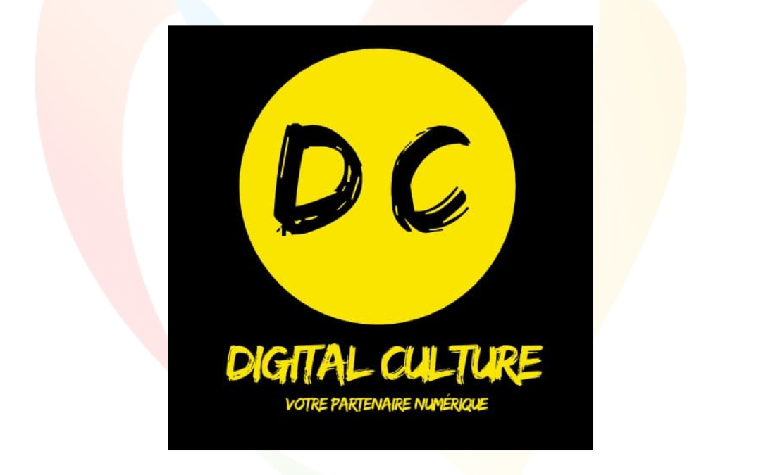 Digital Culture