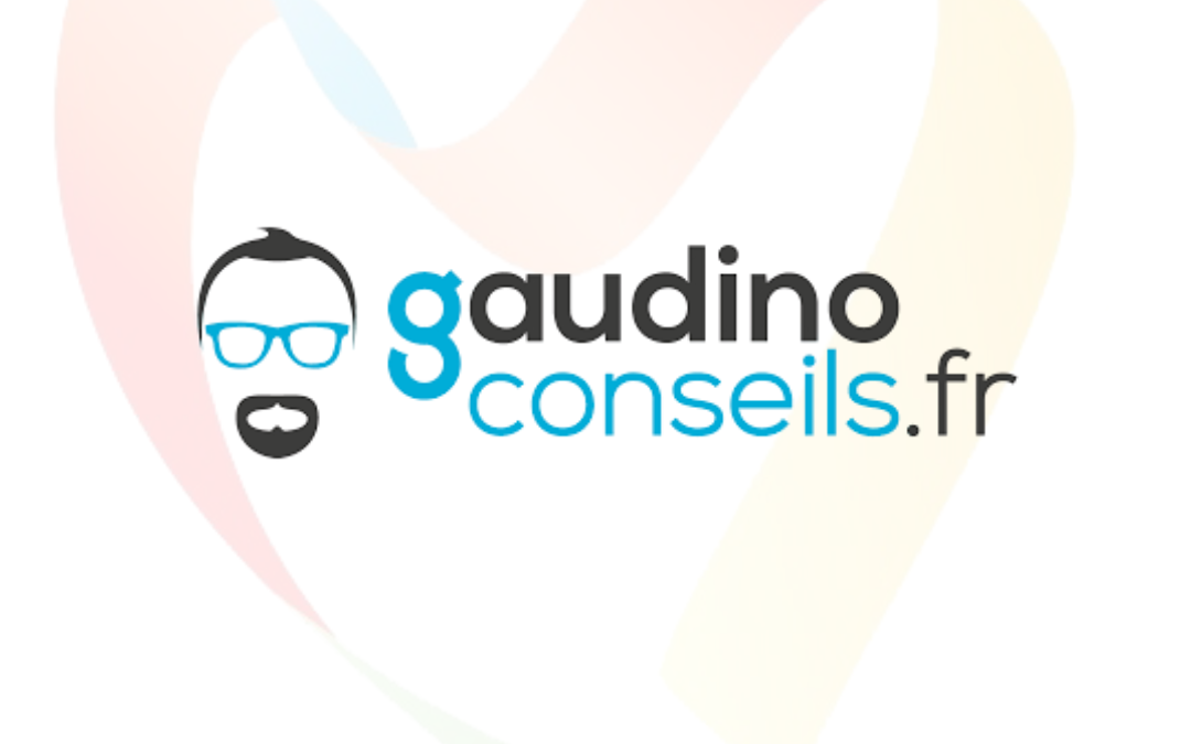 GAUDINO CONSEILS